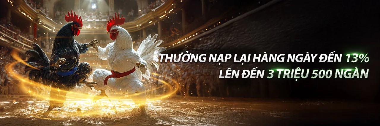 Đá Gà Trực Tiếp Máu 67